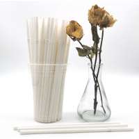 210*6mm FDA Food Safety Eco Friendly Biodegradable Degradable Decomposable Compostable Disposable PLA Straws